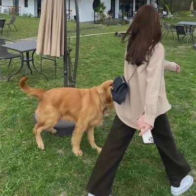 他们的生活