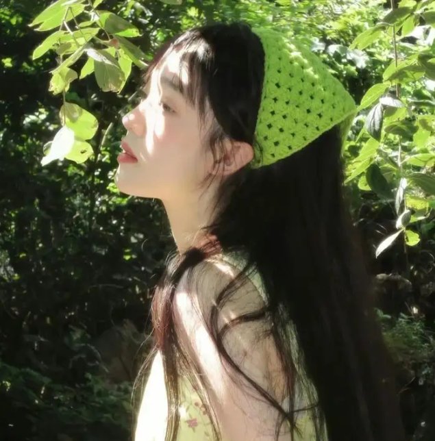 女仆日记2015